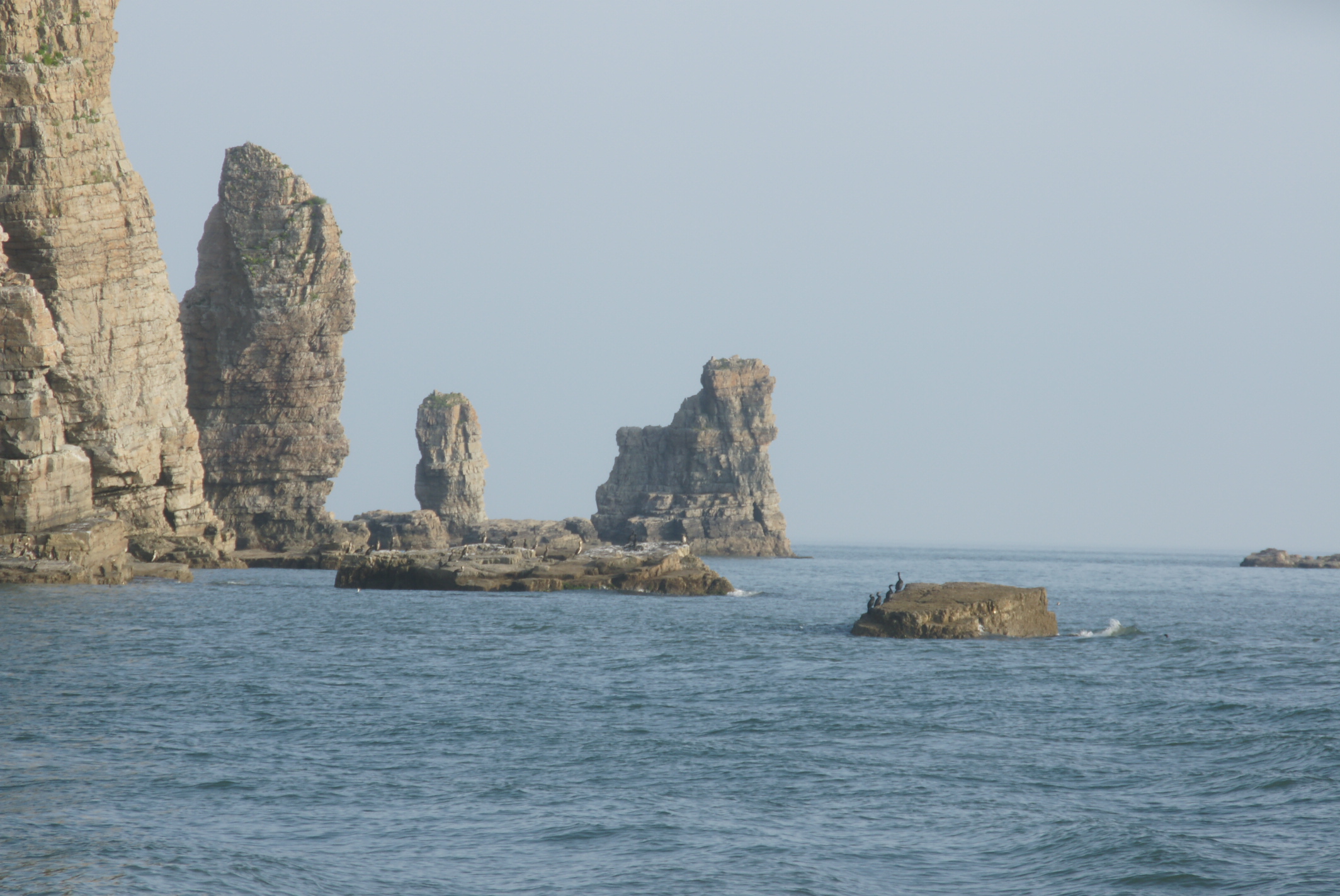 백령도